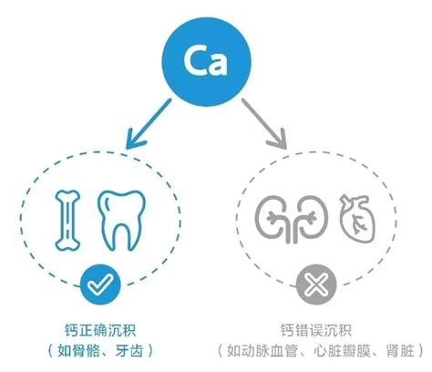 番筧水是什么水|富锶矿物水到底是什么？